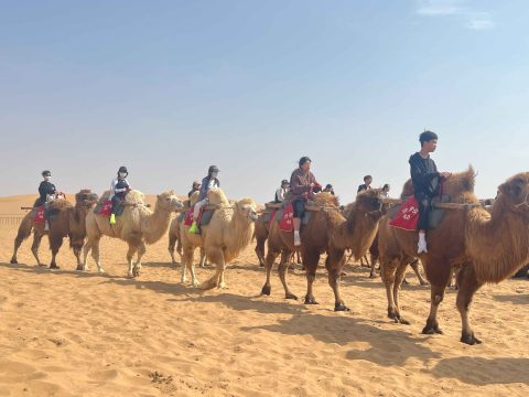 寧夏回族自治區暨賀蘭山學習考察團 - 9